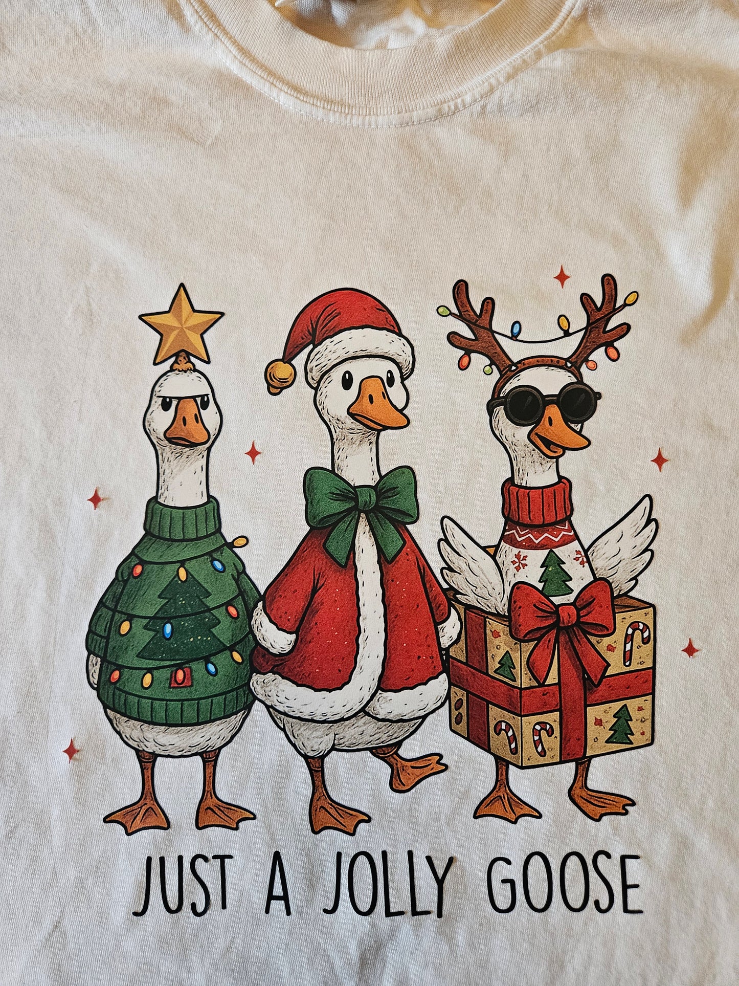 Jolly Goose T- Shirt