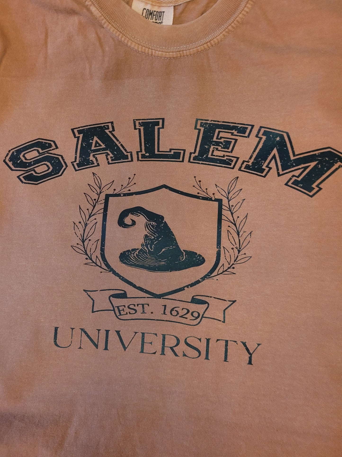 Salem University T- Shirt